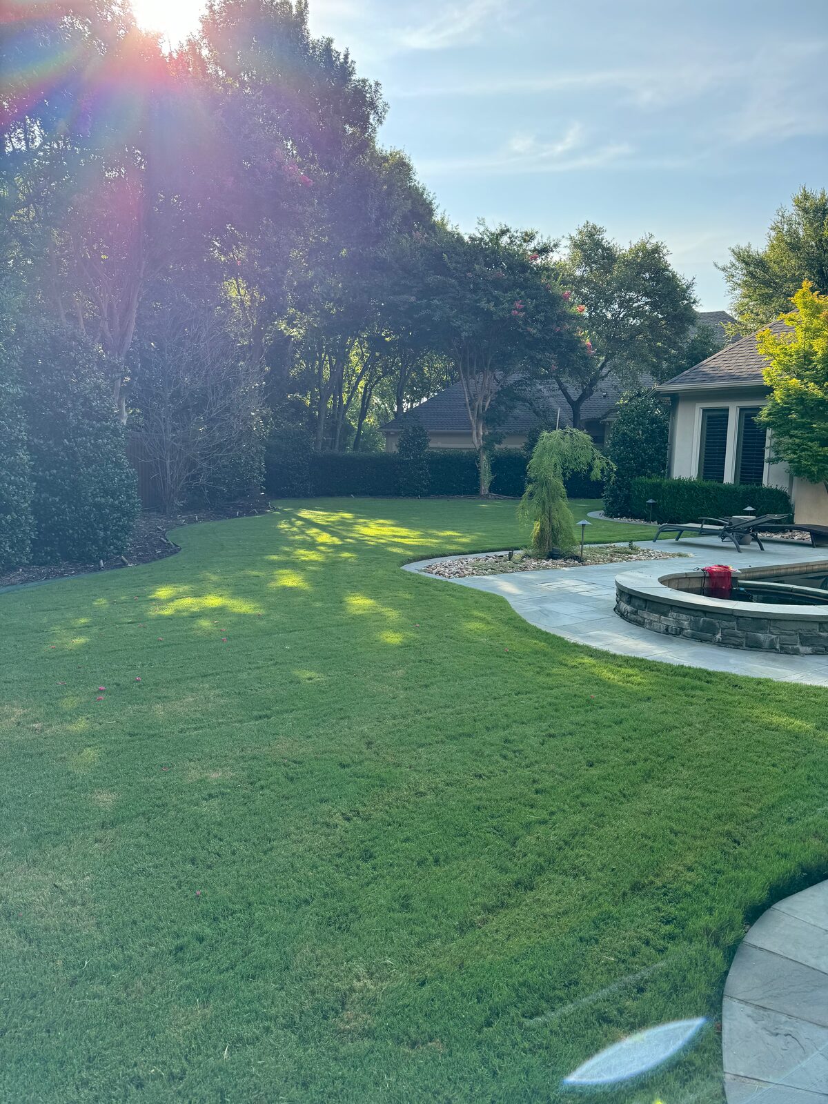 Golden-hour backyard lawn beside a stone patio