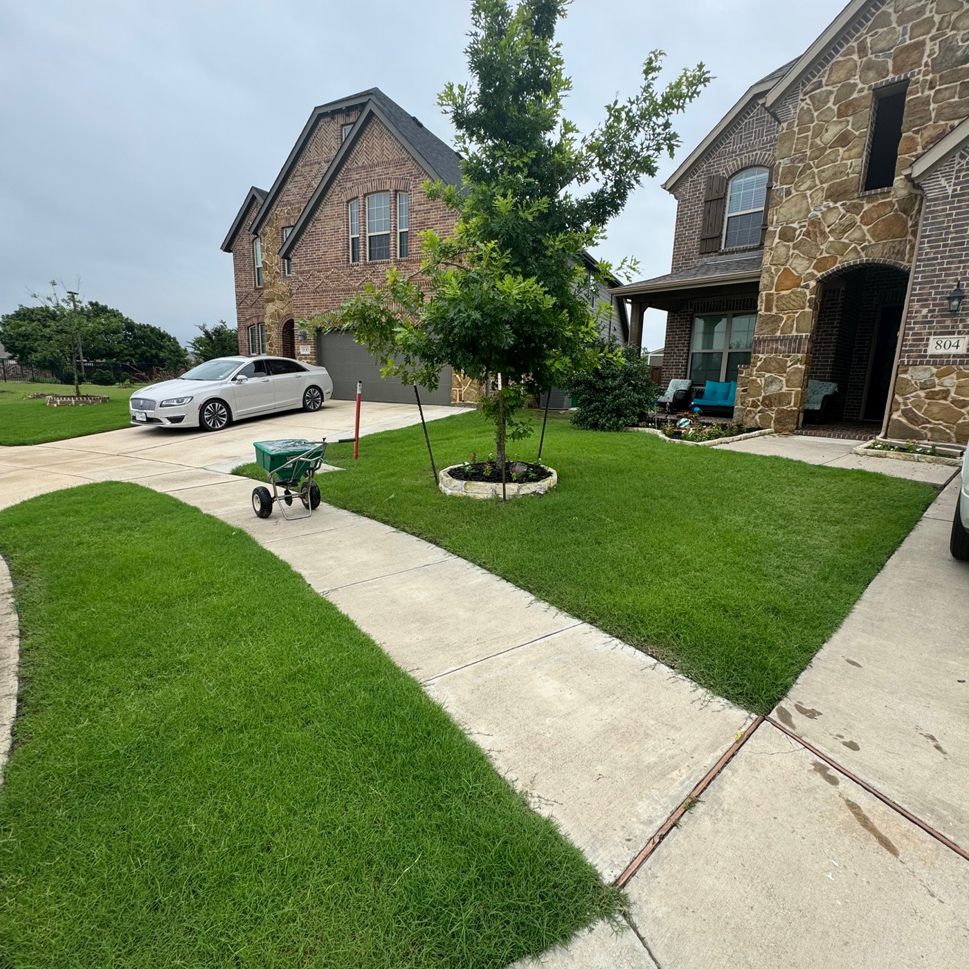 Front Yard Transformation — after