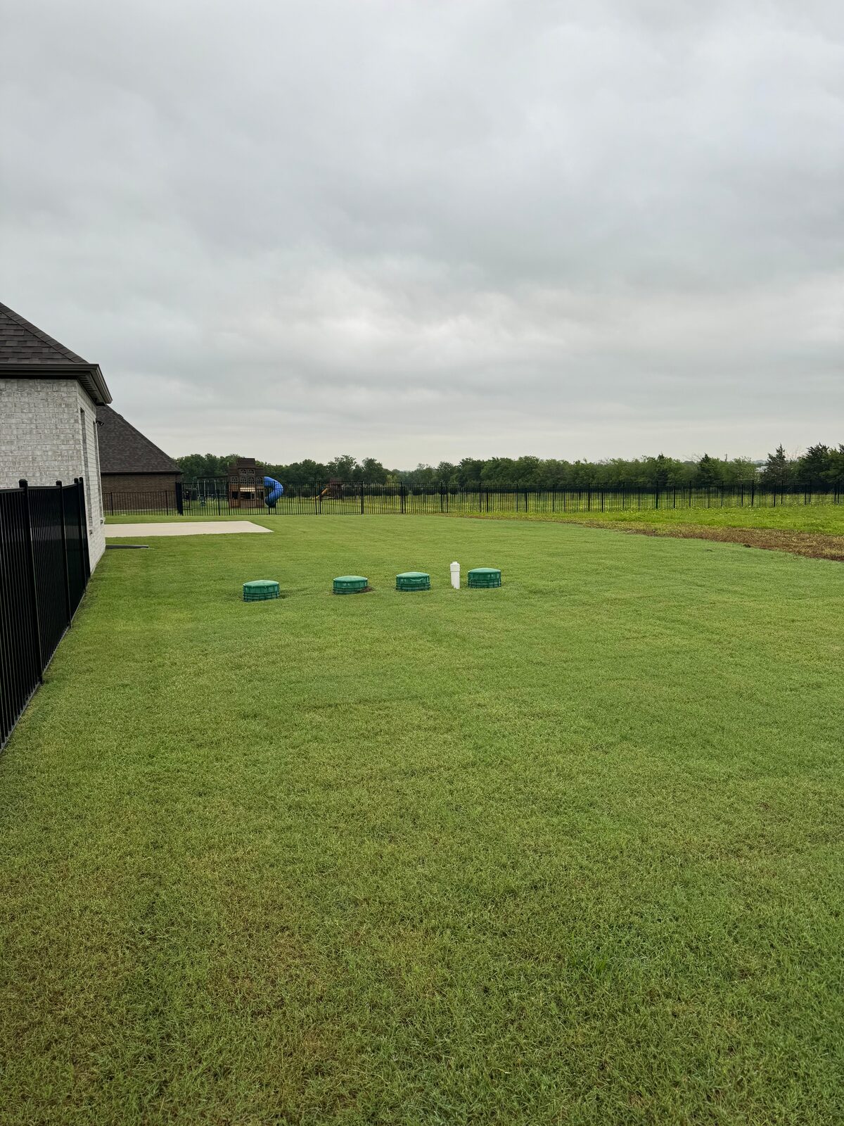 Large open backyard lawn backing to Texas countryside