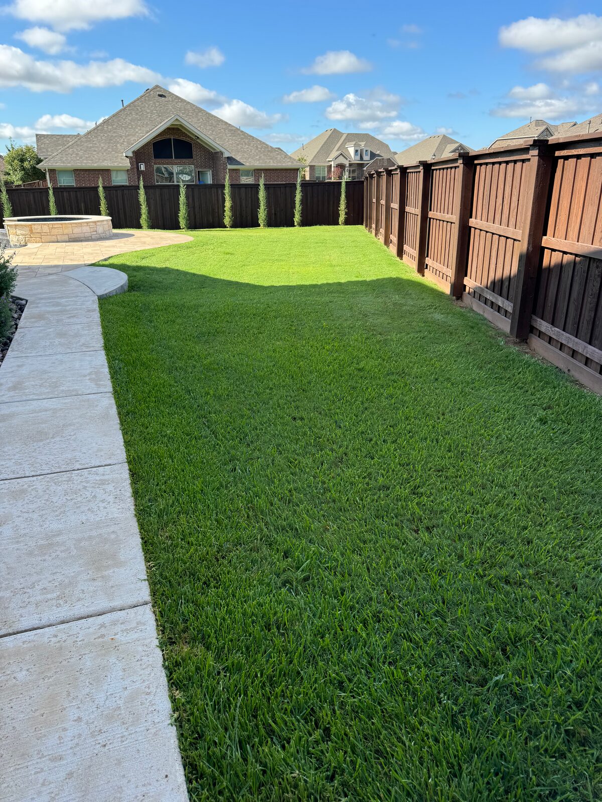 Thick, striped backyard turf along a cedar privacy fence